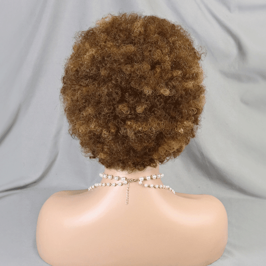 13x4 Dentelle Boucle Afro 5 Couleur Bob Perruque Cheveux Tressés - SHINE HAIR