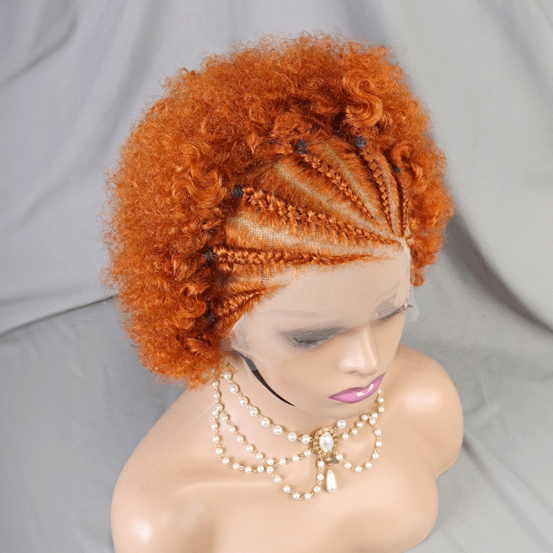 13x4 Dentelle Boucle Afro 5 Couleur Bob Perruque Cheveux Tressés - SHINE HAIR